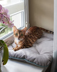 Load image into Gallery viewer, Tomas Pillow for Cats - Southlake Paws