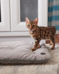 Load image into Gallery viewer, Tomas Pillow for Cats - Southlake Paws