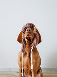 Load image into Gallery viewer, Pet Toy - Long Sausages - Southlake Paws