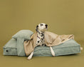 Load image into Gallery viewer, Memory Foam Dog Bed - Southlake Paws