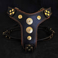 Load image into Gallery viewer, The ''Bijou'' harness Black & Orange Small to Medium Size