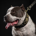 Load image into Gallery viewer, 'Imperium'' hand stitched 8 cm wide show collar - Southlake Paws