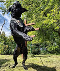 Load image into Gallery viewer, Irondog Harness