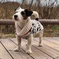 Load image into Gallery viewer, Jackson Dog Sweater