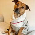 Load image into Gallery viewer, Jackson Dog Sweater