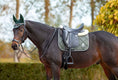 Load image into Gallery viewer, Jade Green Saddle Pad Set