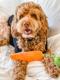 Load image into Gallery viewer, CARROT TUG ROPE INTERACTIVE DOG TOY - Southlake Paws