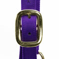 Load image into Gallery viewer, Jeffers Adjustable Halter with Throat Snap