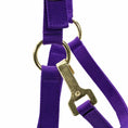 Load image into Gallery viewer, Jeffers Adjustable Halter with Throat Snap