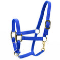 Load image into Gallery viewer, Jeffers Adjustable Halter with Throat Snap