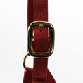 Load image into Gallery viewer, Jeffers Adjustable Halter with Throat Snap