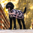 Load image into Gallery viewer, Jeffers Expression 600D Waterproof Ripstop Dog Coat, 240 Gram