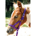 Load image into Gallery viewer, Jeffers Nylon "Grow With Me" Weanling Horse Halter, 3/4"W