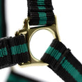 Load image into Gallery viewer, Jeffers Padded Nylon Horse Halter with Throat Snap