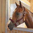 Load image into Gallery viewer, Jeffers Padded Nylon Horse Halter with Throat Snap