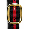 Load image into Gallery viewer, Jeffers Padded Nylon Horse Halter with Throat Snap