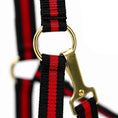 Load image into Gallery viewer, Jeffers Padded Nylon Horse Halter with Throat Snap