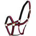 Load image into Gallery viewer, Jeffers Padded Nylon Horse Halter with Throat Snap