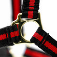 Load image into Gallery viewer, Jeffers Padded Nylon Horse Halter with Throat Snap