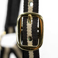 Load image into Gallery viewer, Jeffers Padded Nylon Horse Halter with Throat Snap