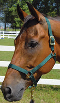 Load image into Gallery viewer, Jeffers Turnout Nylon Horse Halters, 2-Ply, 1"