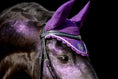 Load image into Gallery viewer, Purple Amethyst Fly Hat