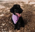 Load image into Gallery viewer, Lovely Lavender Sparks Dog Bandana