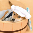 Load image into Gallery viewer, Japanese Hot Spring Pet Bed