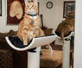 Load image into Gallery viewer, SPHP-2 Luxury Cat Perch