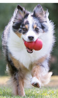 Load image into Gallery viewer, KONG Classic Dog Toy