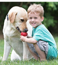 Load image into Gallery viewer, KONG Classic Dog Toy