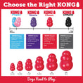 Load image into Gallery viewer, KONG Classic Dog Toy