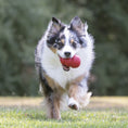 Load image into Gallery viewer, KONG Classic Dog Toy