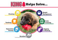 Load image into Gallery viewer, KONG Extreme Treat-Stuffing Dog Toy for Power Chewers