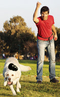 Load image into Gallery viewer, KONG Extreme Treat-Stuffing Dog Toy for Power Chewers