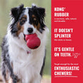 Load image into Gallery viewer, KONG Goodie Bone Rubber Dog Chew Toy, Medium