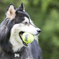 Load image into Gallery viewer, KONG SqueakAir® Ball – Durable Squeaker Tennis Ball Dog Toy for Fetch & Play