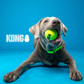 Load image into Gallery viewer, KONG SqueakAir® Ball – Durable Squeaker Tennis Ball Dog Toy for Fetch & Play