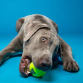 Load image into Gallery viewer, KONG SqueakAir® Ball – Durable Squeaker Tennis Ball Dog Toy for Fetch & Play