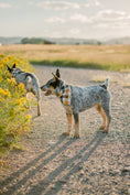 Load image into Gallery viewer, Tobacco Plaid Dog Bandana