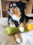 Load image into Gallery viewer, MB WOOLBONE - Southlake Paws