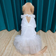Big Dog Wedding Dress