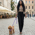 Load image into Gallery viewer, EcoBark Lavender Dog Leash - Comfort Grip Padded Leash - 4ft, 5ft, and 6ft for Small and Medium Dogs
