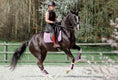 Load image into Gallery viewer, Lavender Saddle Pad Set