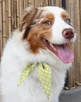 Load image into Gallery viewer, CLASSIC NECKTIE - Southlake Paws