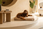 Brigette Romanek | Taupe Dog Bed or Bed Cover LAY LO Pets