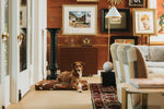 John Legend | Brown Fragment Dog Bed or Bed Cover LAY LO Pets