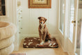 Load image into Gallery viewer, John Legend | Brown Fragment Dog Bed or Bed Cover LAY LO Pets