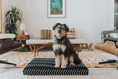 Load image into Gallery viewer, Black Chevron | Boho Dog Bed or Bed Cover LAY LO Pets