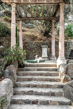 Hunter Green Grid | Dog Bed or Bed Cover LAY LO Pets